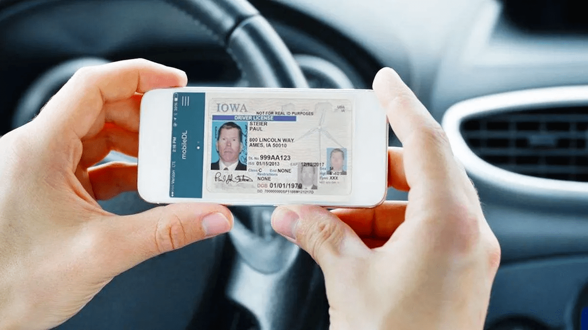 International Driving License (IDP)